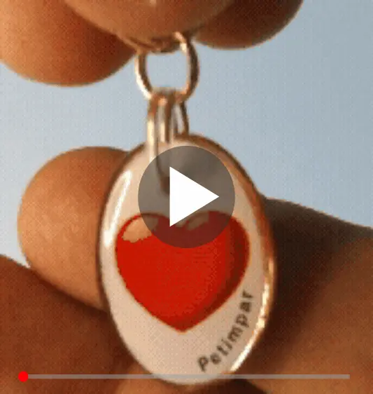 Detalhe da Medalha imagem de detalhe do produto