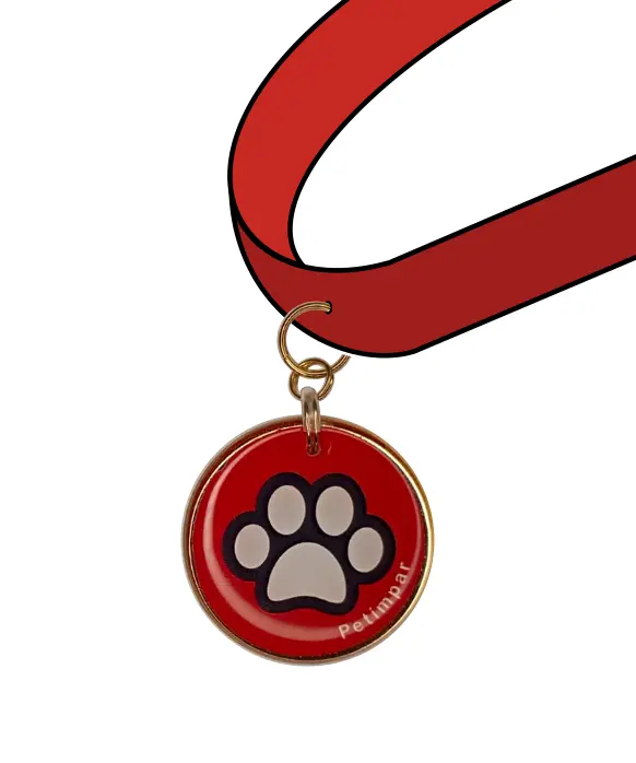 Medalha adaaptada Imagem de medalha adaptada no passante