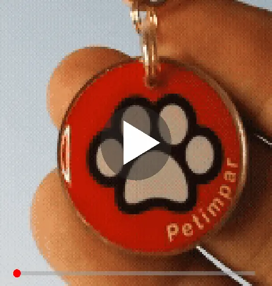 Detalhe da Medalha imagem de detalhe do produto