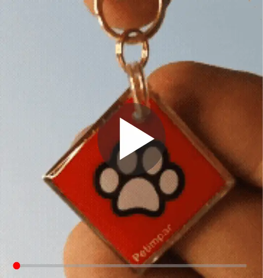 Detalhe da Medalha imagem de detalhe do produto