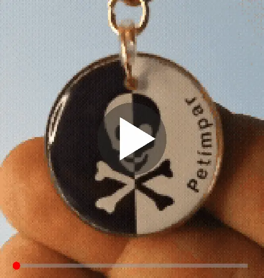 Detalhe da Medalha imagem de detalhe do produto