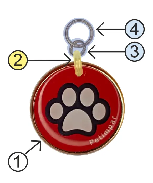 Partes da medalha Imagem das partes que compõem à medalha
